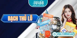 Bạch Thủ Lô - Định Nghĩa, Ưu Nhược Điểm Và Chiến Thuật