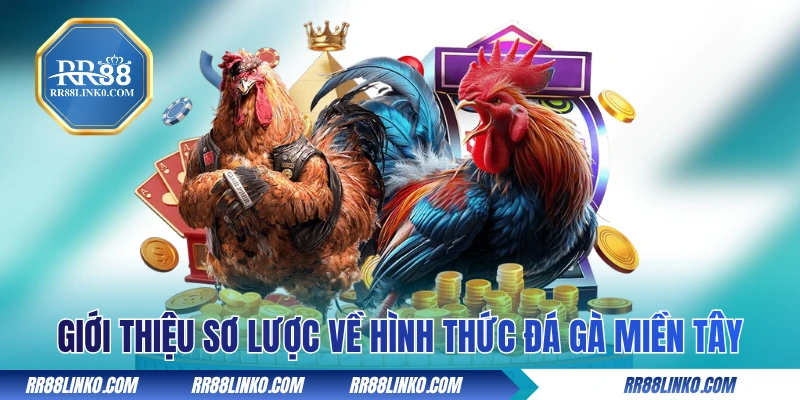 Giới thiệu sơ lược về hình thức đá gà miền Tây