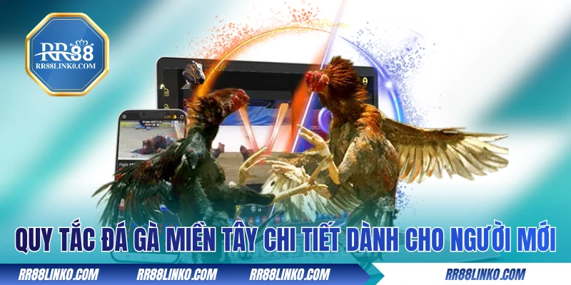 Quy tắc đá gà miền Tây chi tiết dành cho người mới