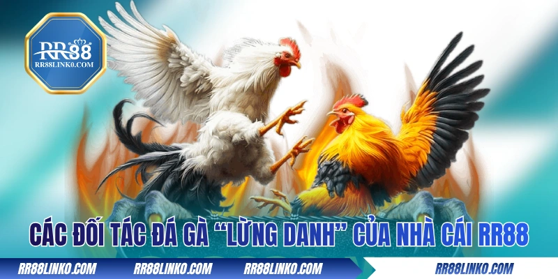 Các đối tác đá gà “lừng danh” của nhà cái RR88