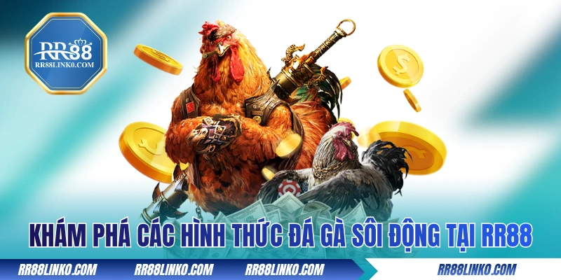 Khám phá các hình thức đá gà sôi động tại RR88