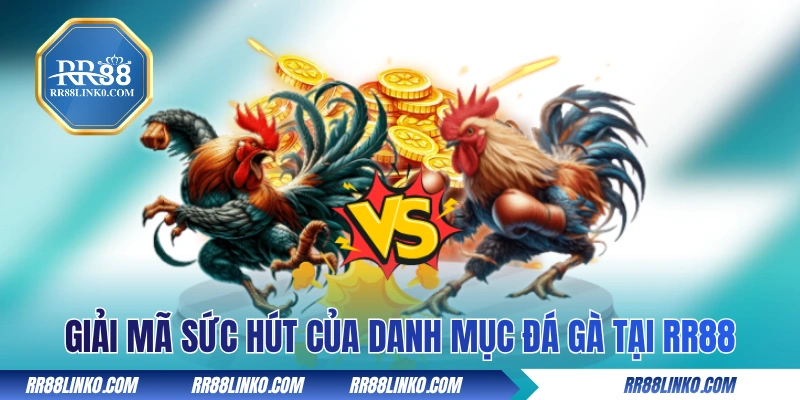 Giải mã sức hút của danh mục đá gà tại RR88