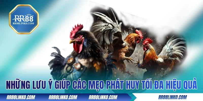Những lưu ý giúp các mẹo phát huy tối đa hiệu quả