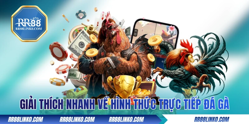 Giải thích nhanh về hình thức trực tiếp đá gà