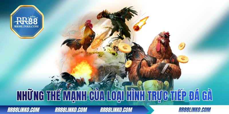 Những thế mạnh của loại hình trực tiếp đá gà