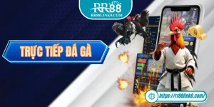 Trực Tiếp Đá Gà - Mãn Nhãn Với Các Màn Kê Chiến Ngay Tại Nhà