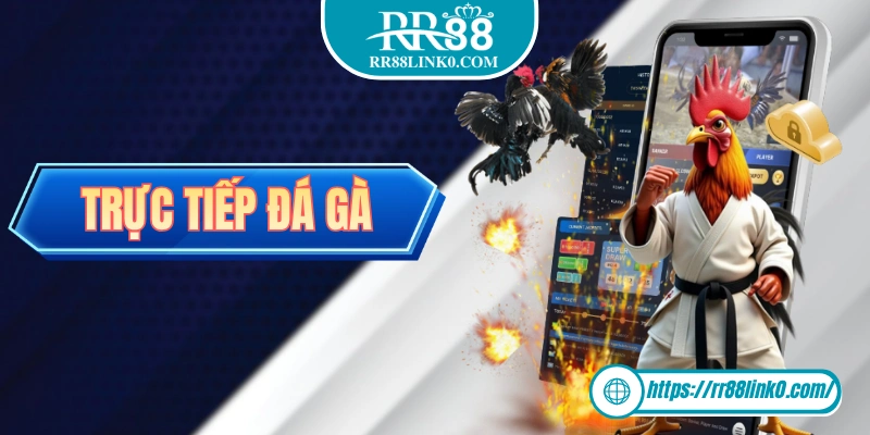 Trực Tiếp Đá Gà - Mãn Nhãn Với Các Màn Kê Chiến Ngay Tại Nhà